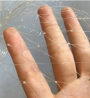 רשת שקופה מקצועית נגד יונים 3X3 מטר חזקה במיוחד עובי 0.4 מ"מ