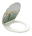 מושב אסלה טורנדו פלוס נרקיס נשלף.jpg