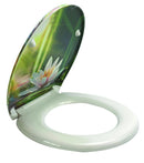 מושב אסלה טורנדו פלוס לוטוס נשלף.jpg